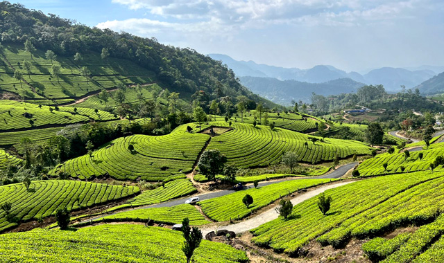 Alleppey Luxury Houseboat & Munnar Tea Mist
